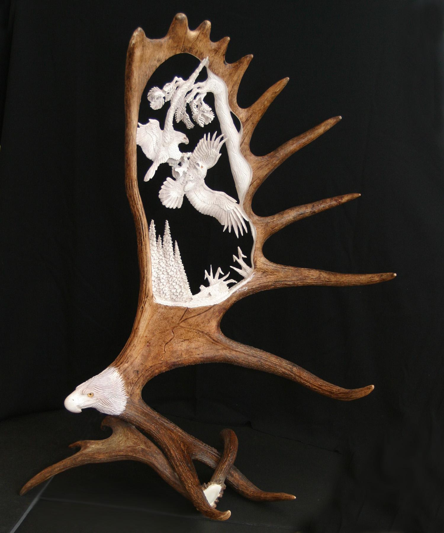 Unique Antler Design Wildlife Gallery