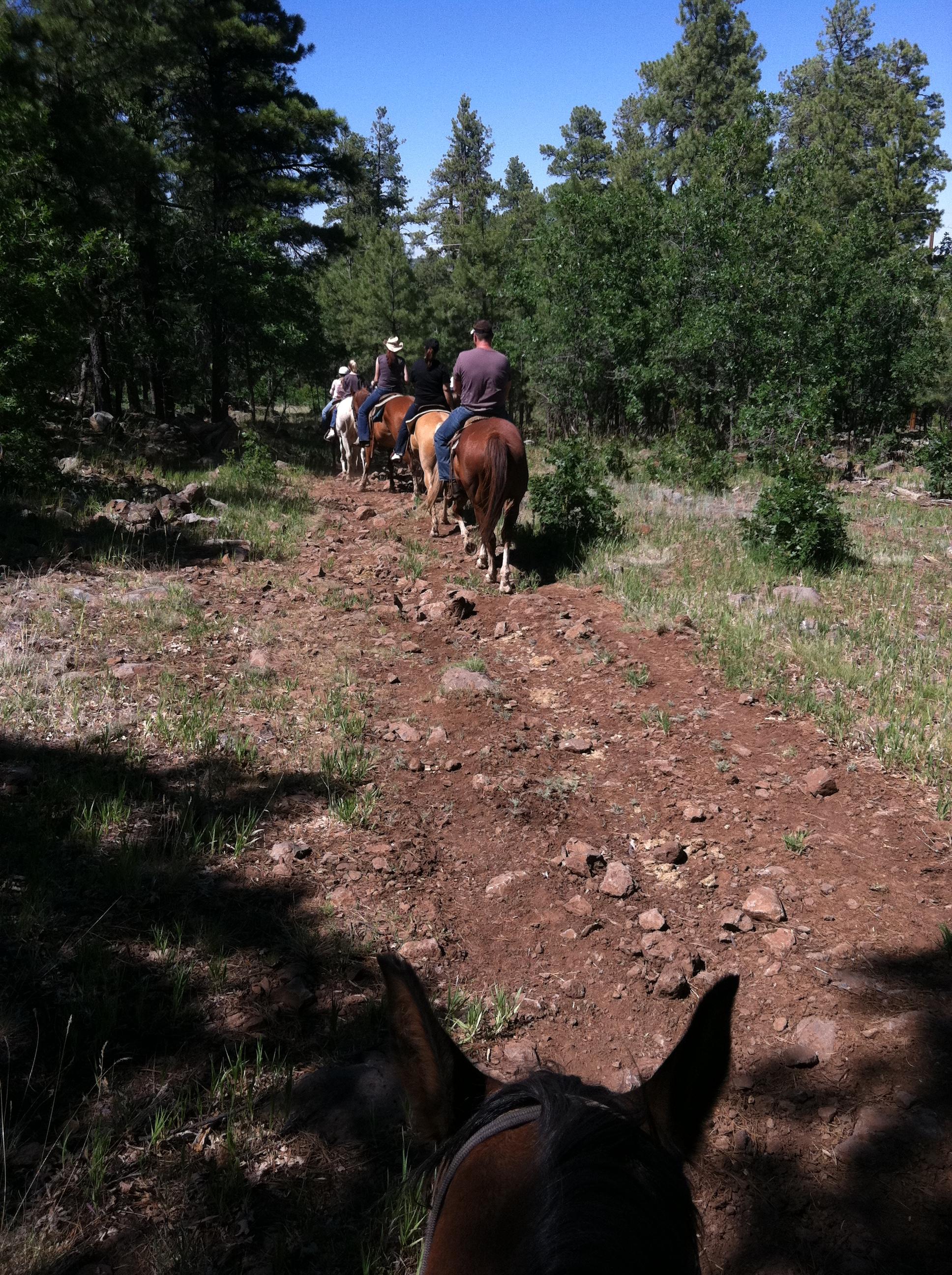 High Mountain Trail Rides