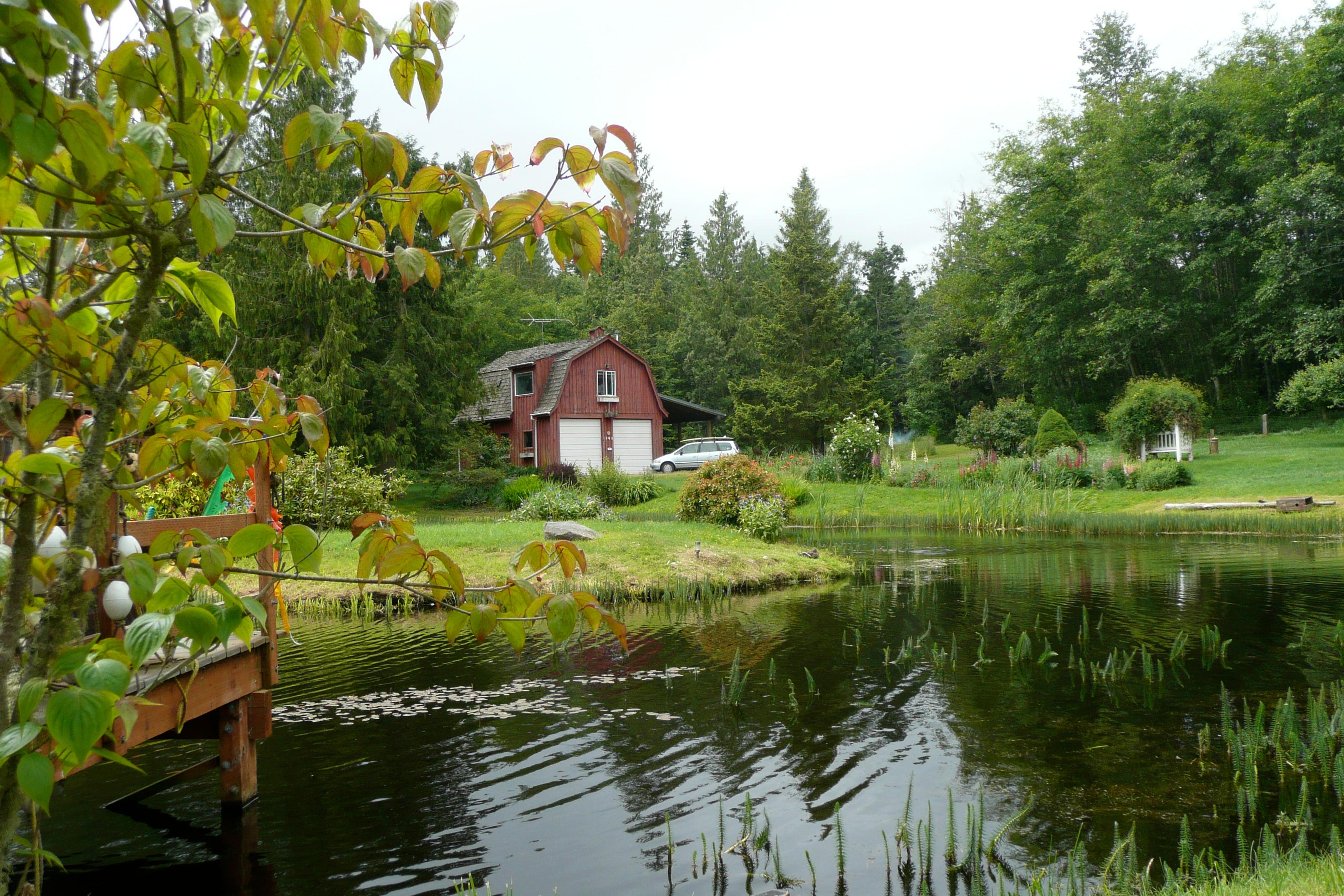 Nelson's Duckpond & Lavender Farm