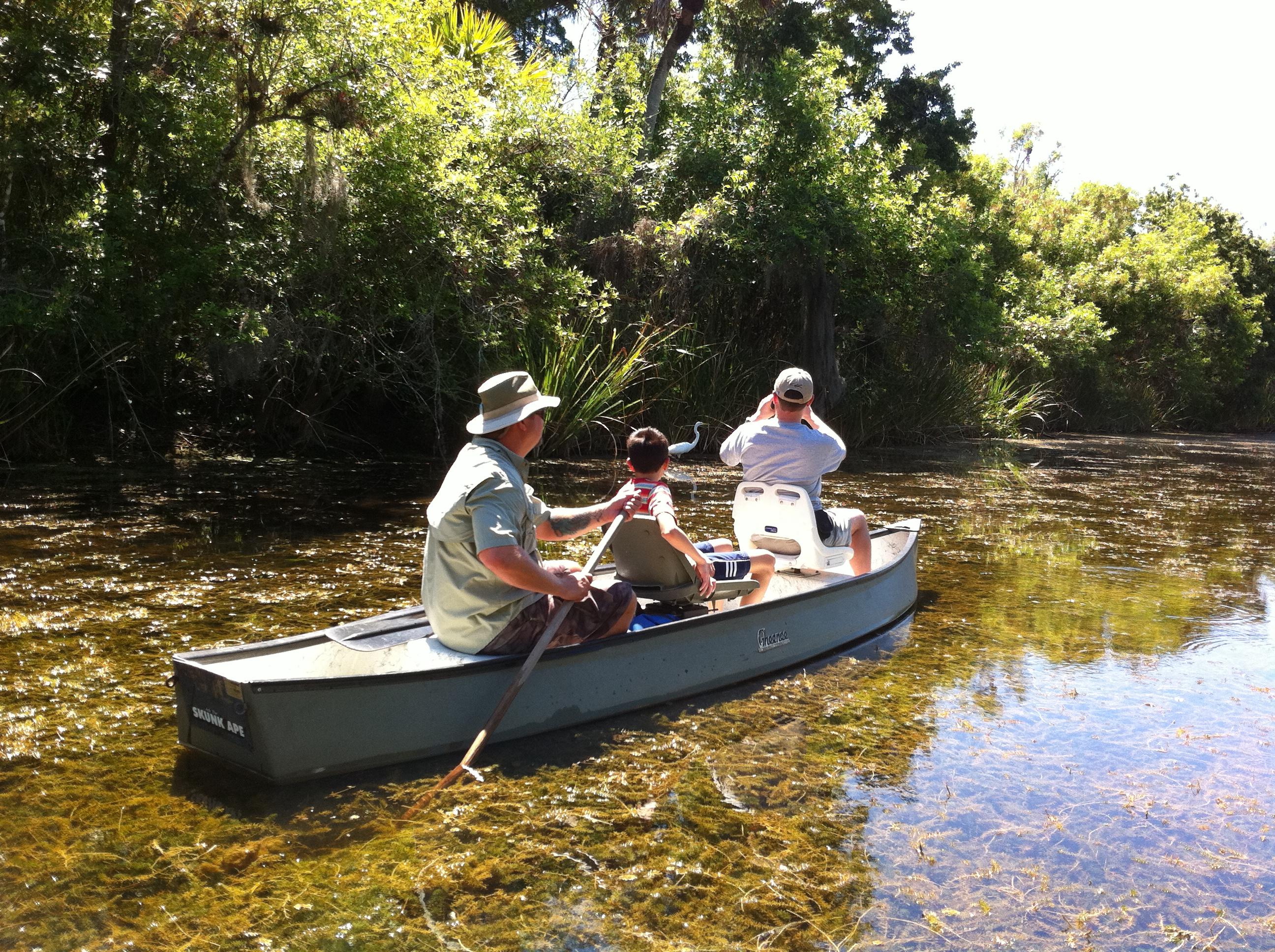 Everglades Adventure Tours