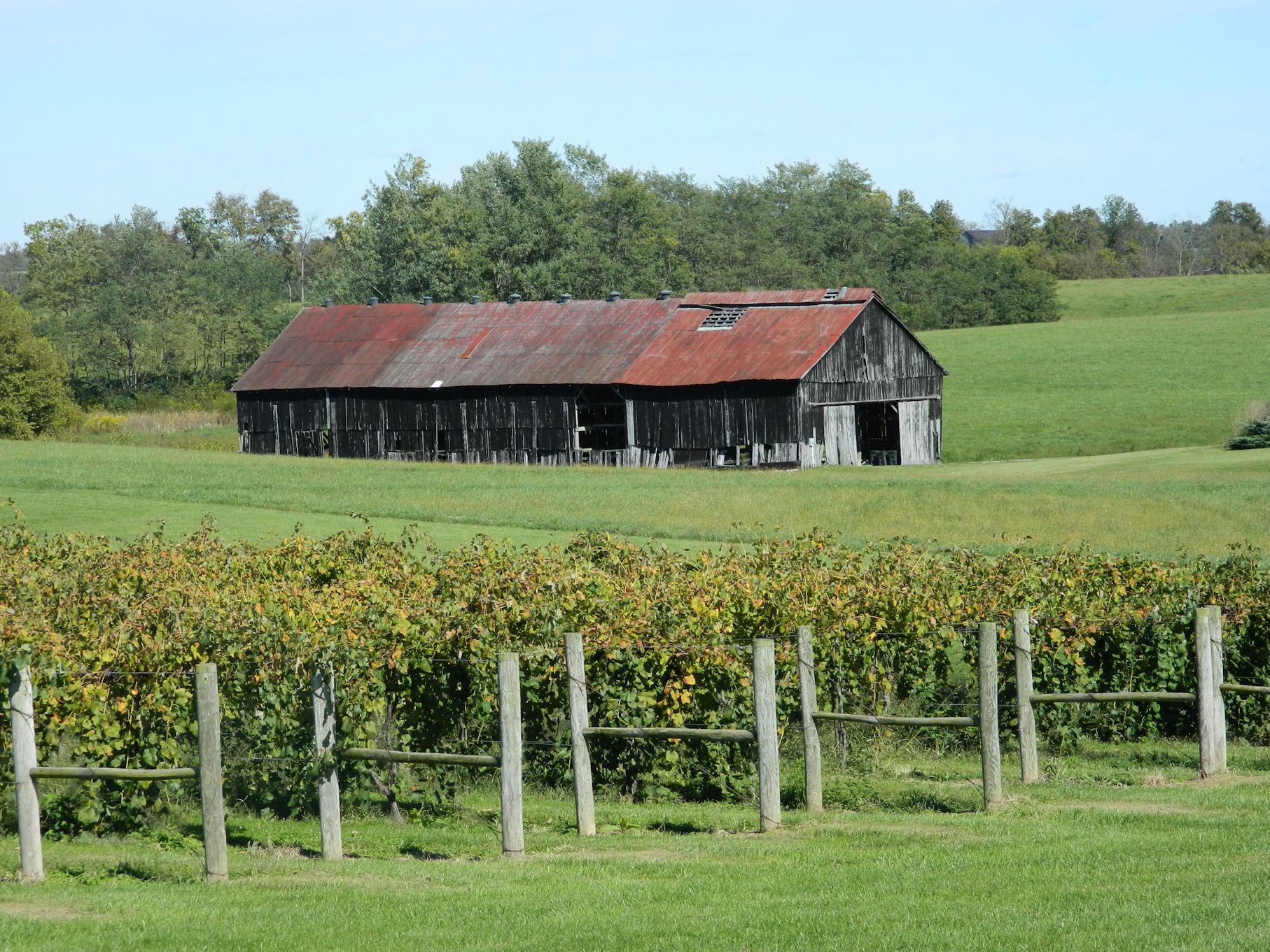 Talon Winery & Vineyard