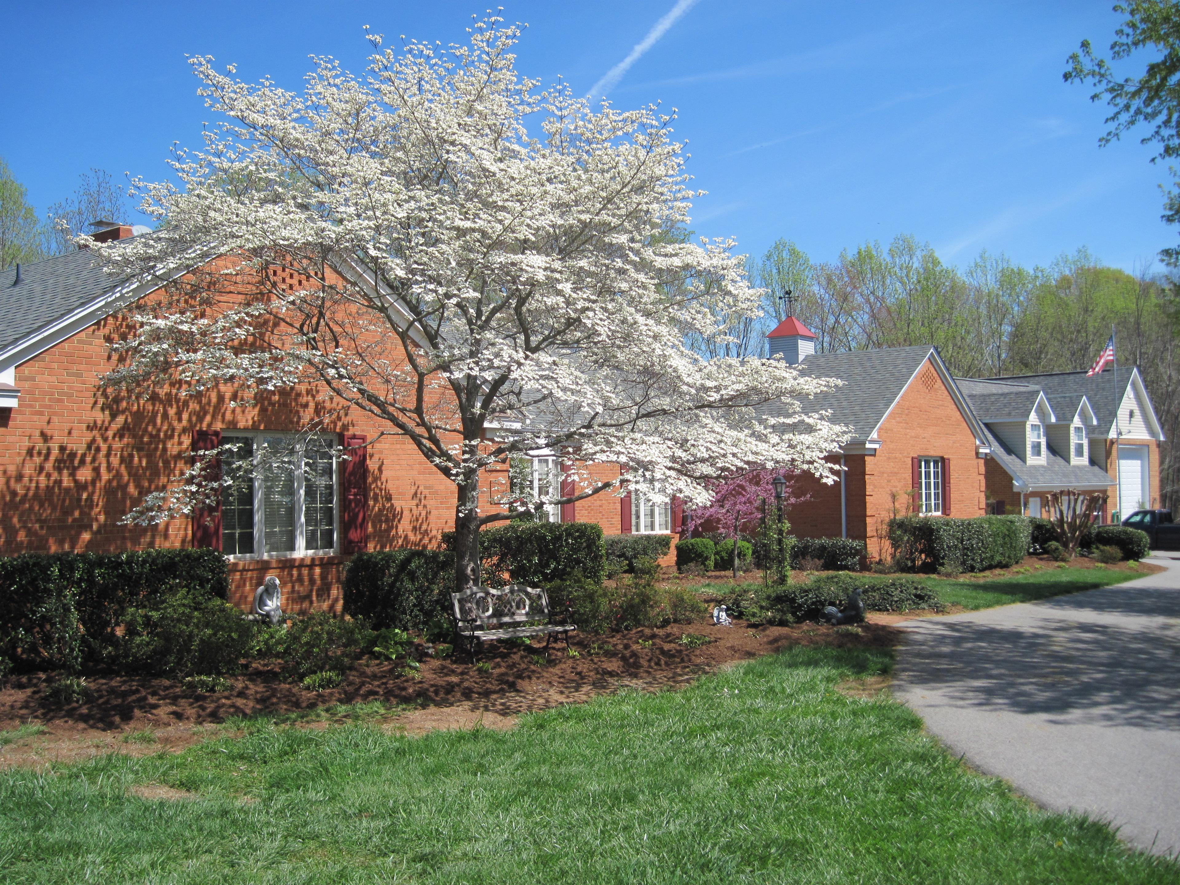 The Roost Bed and Breakfast