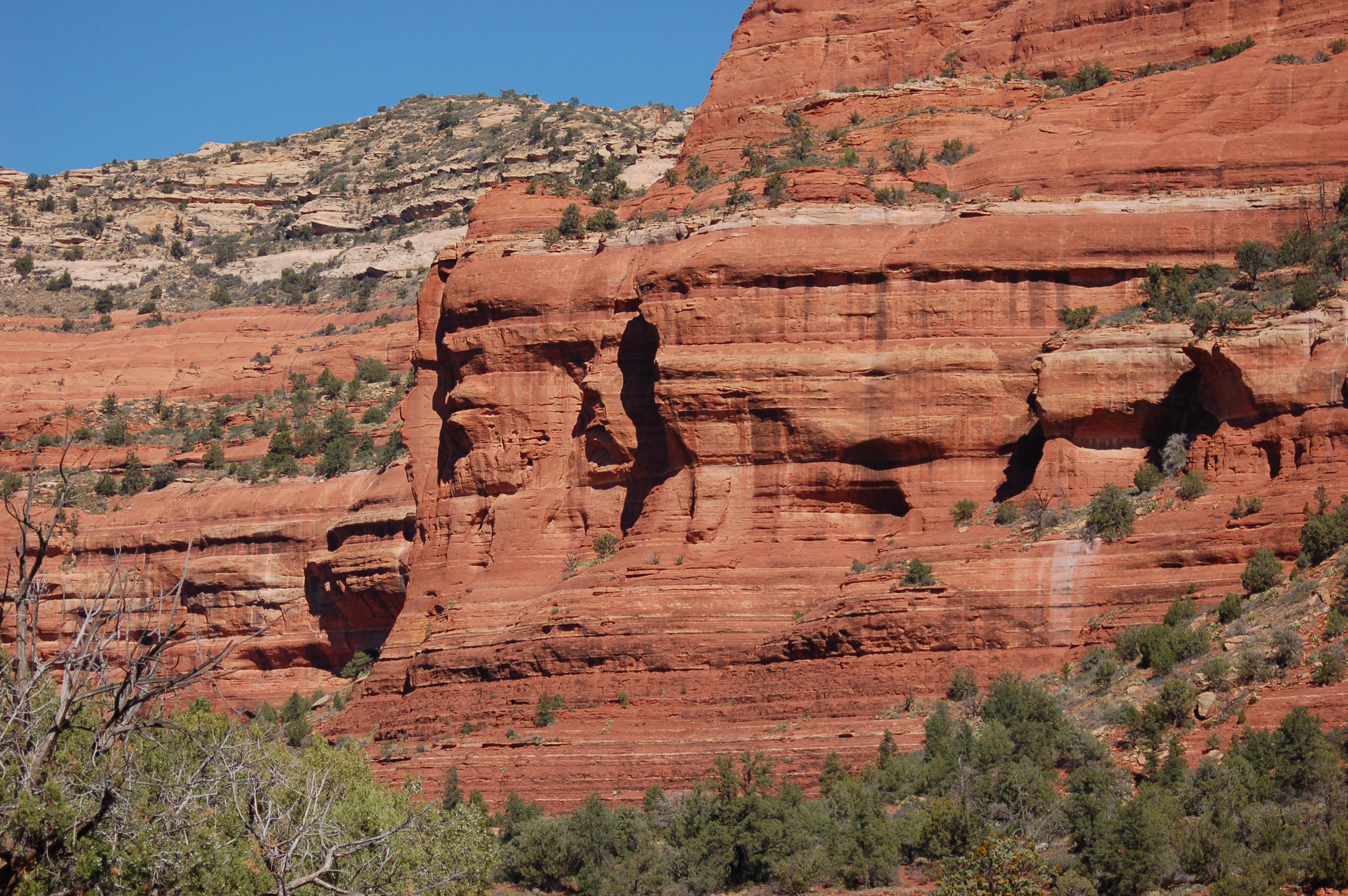 Sedona Trolley