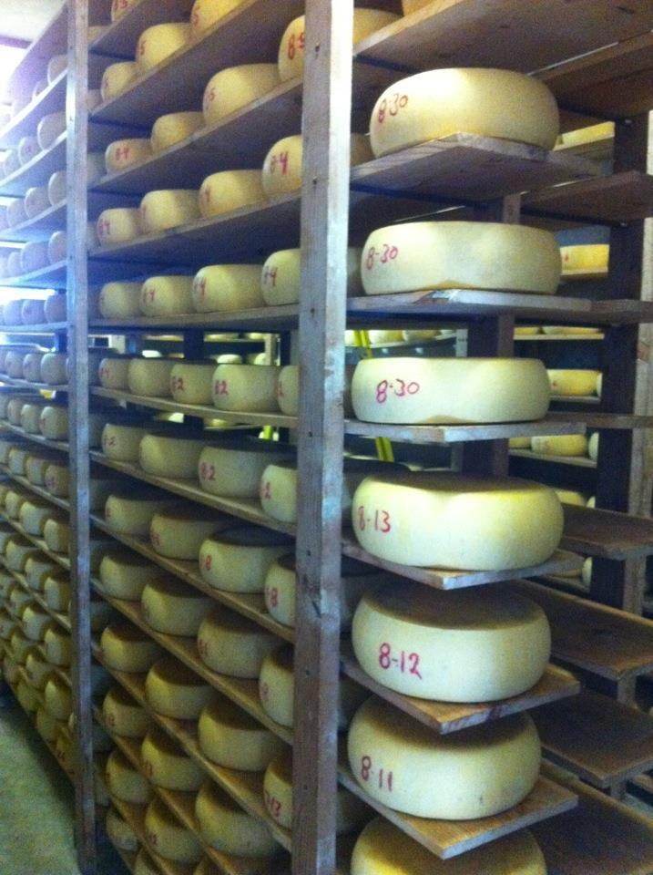 Matos Cheese Factory