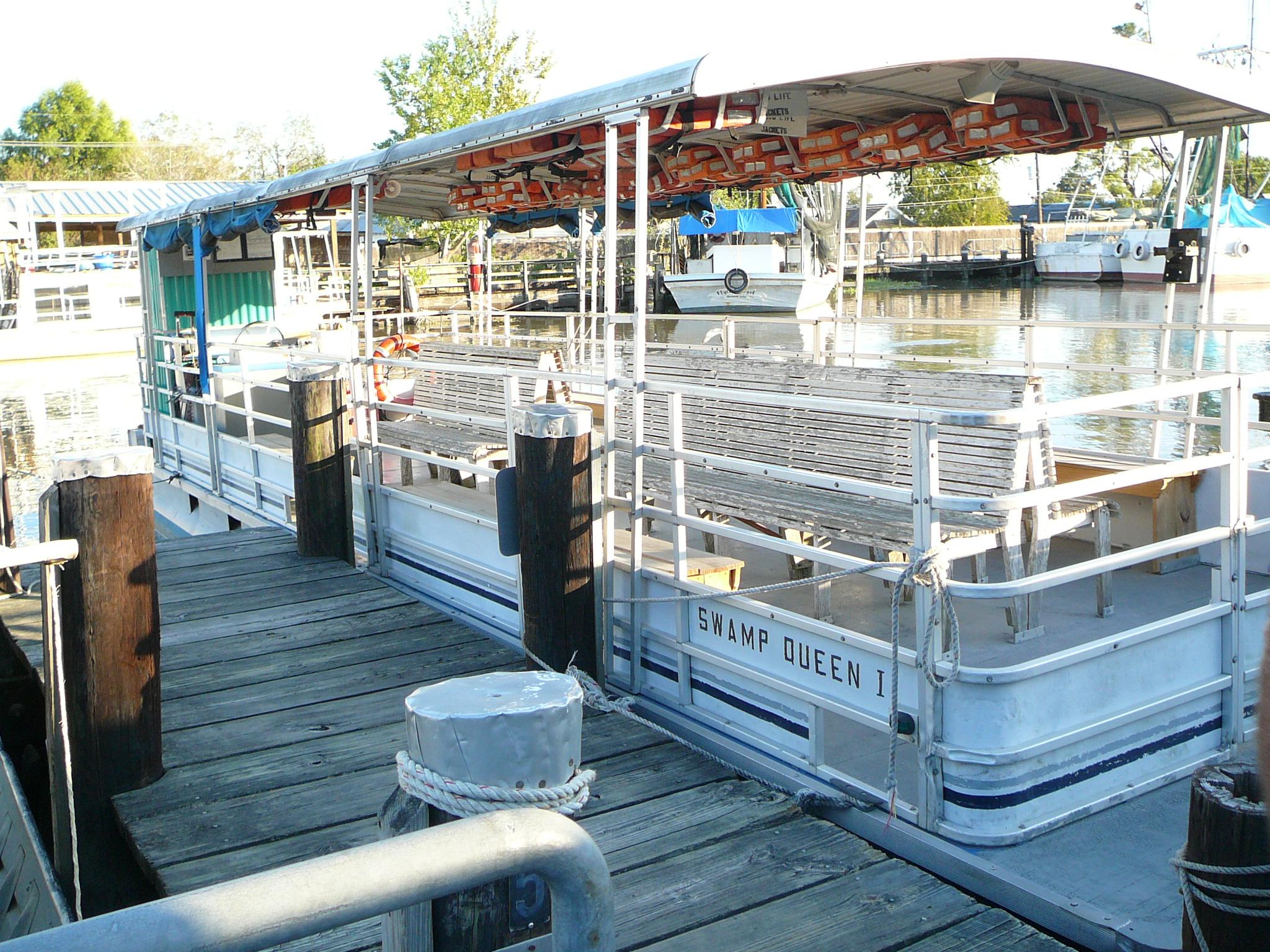 Cajun Critters Swamp Tour