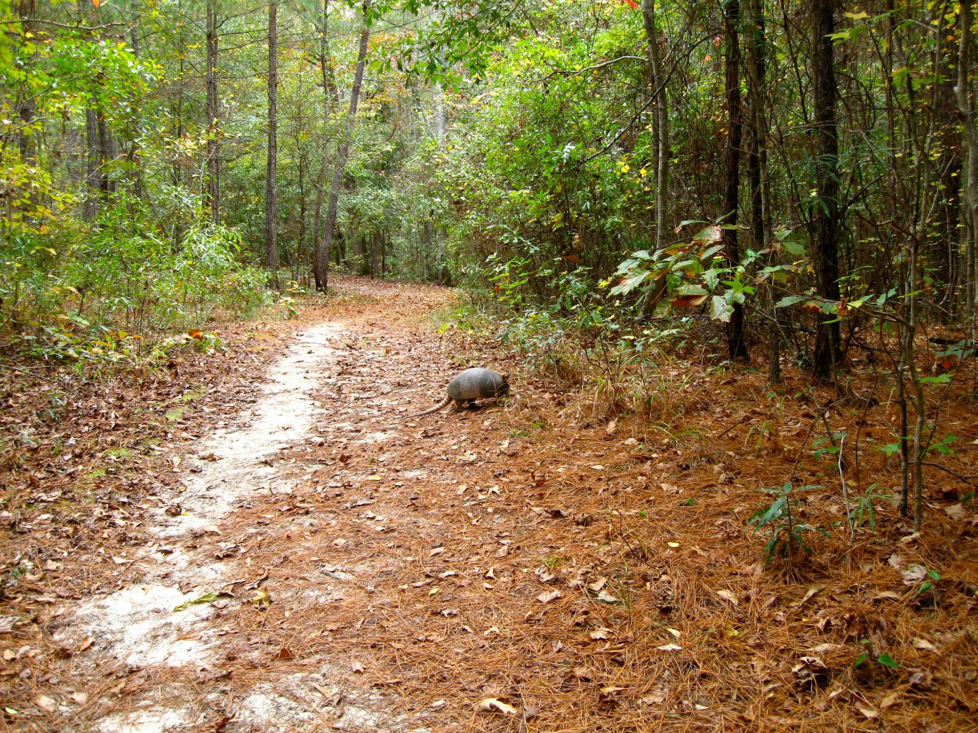 Kreher Preserve & Nature Center