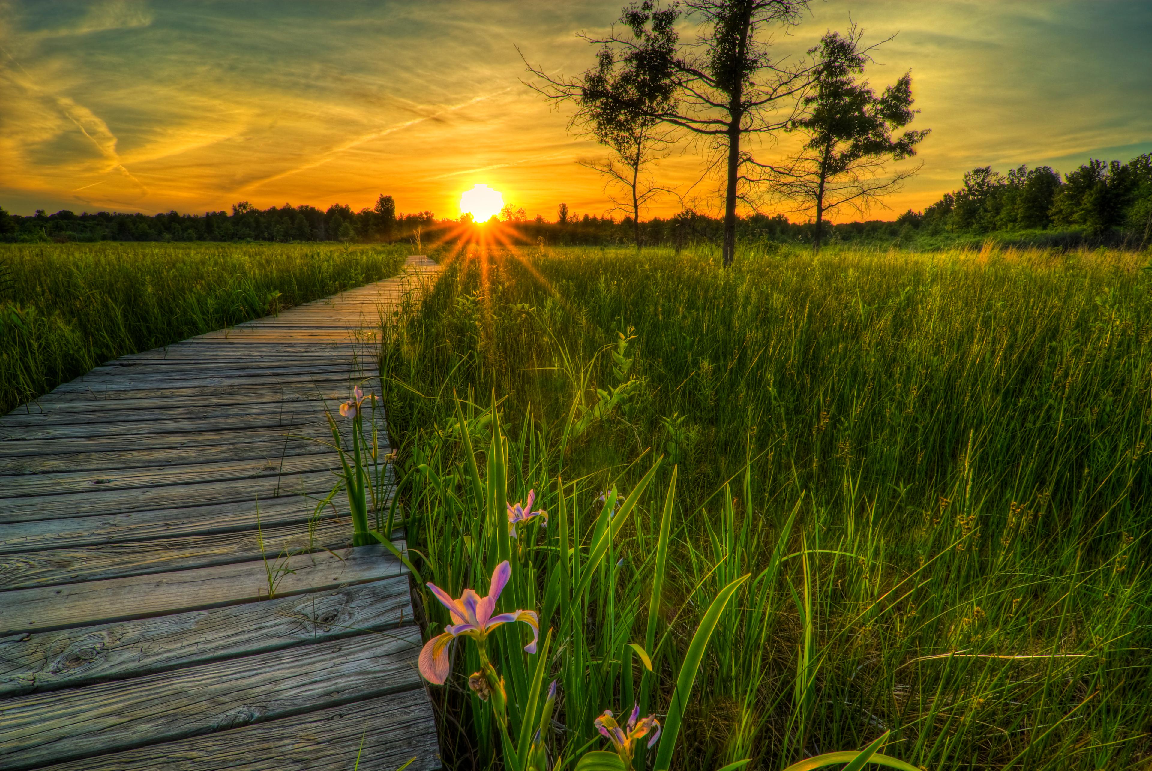 Irwin Prairie State Nature Preserve