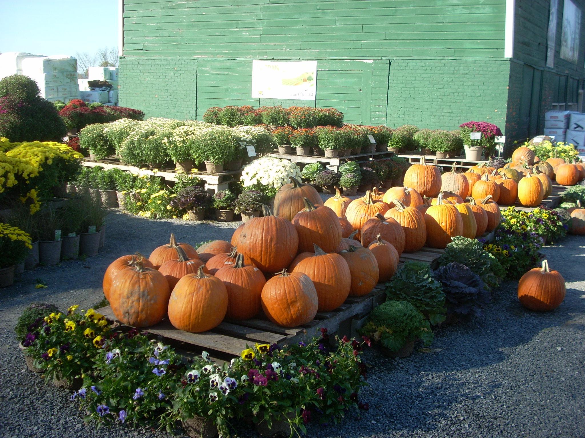 Schoharie Valley Farms