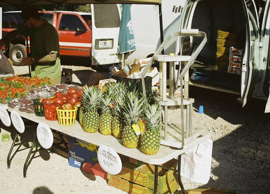 New Smyrna Beach Farmers Market