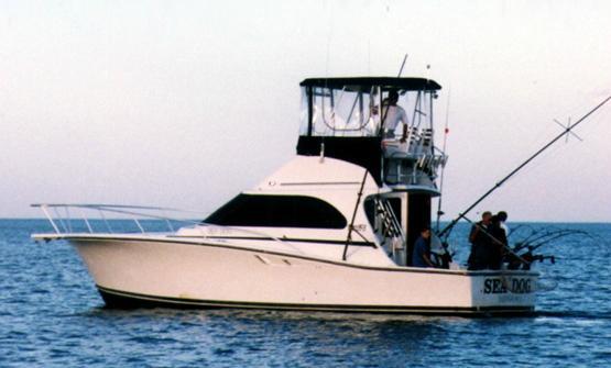 Sea Dog Sportfishing Charters of Sheboygan