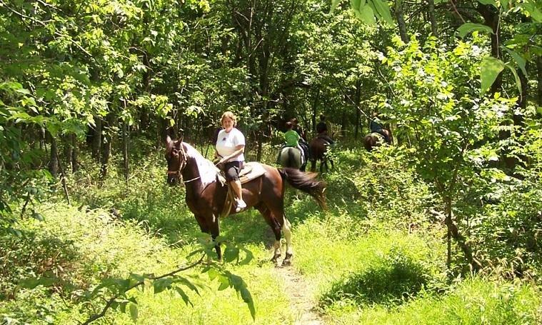 Whispering Woods Riding Stables