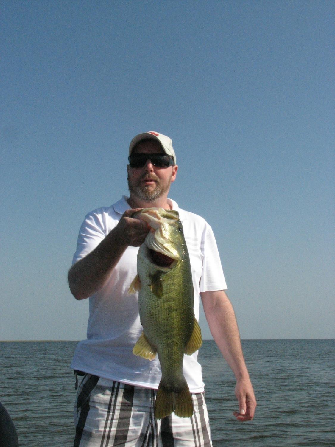 Mark King Bass Fishing Guide