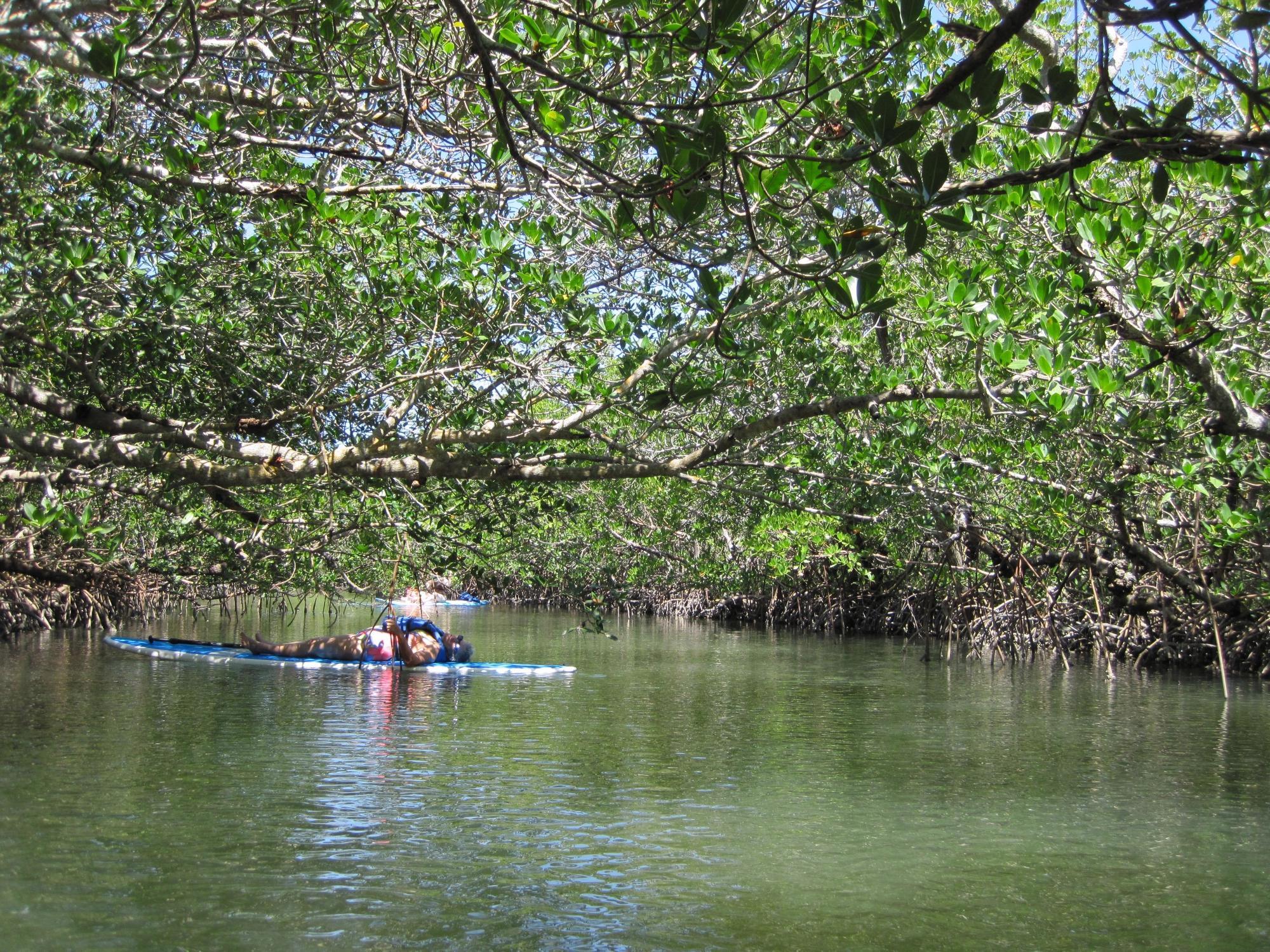 Paddleboard SWFL