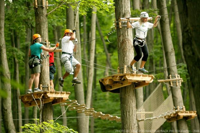 Treetop Trekking-Barrie