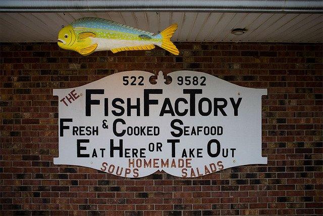 The Fish Factory