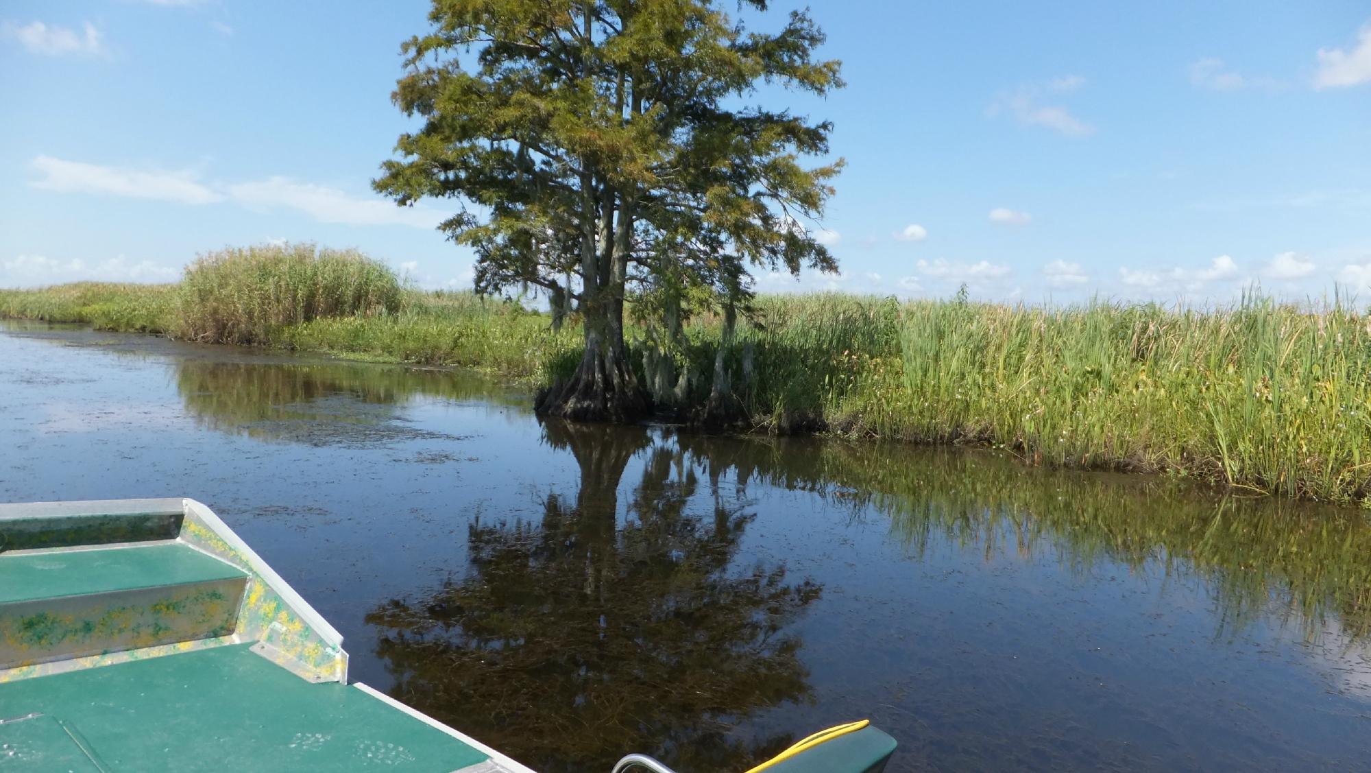 Airboat Express