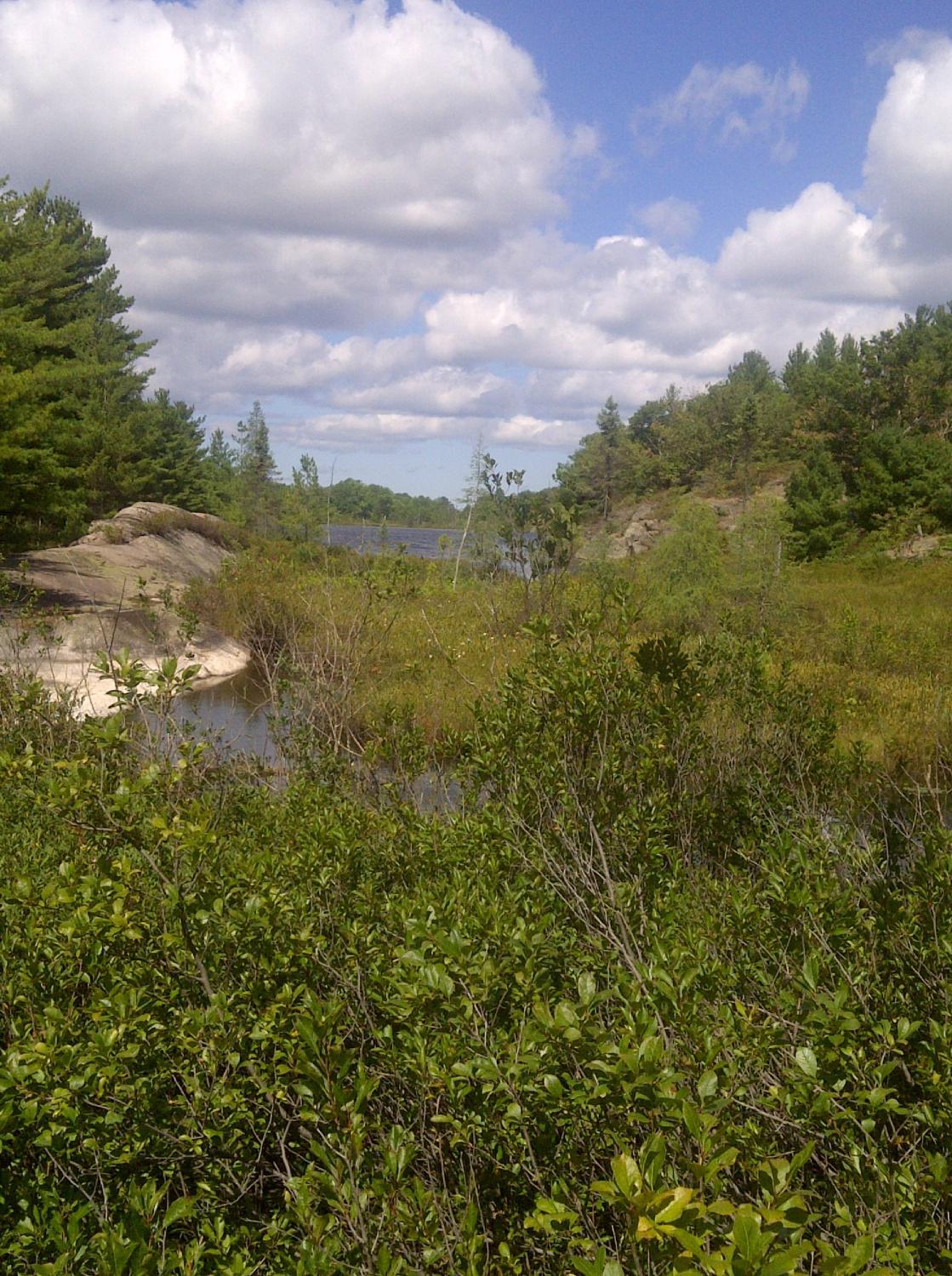 Torrance Barrens Dark-Sky Preserve