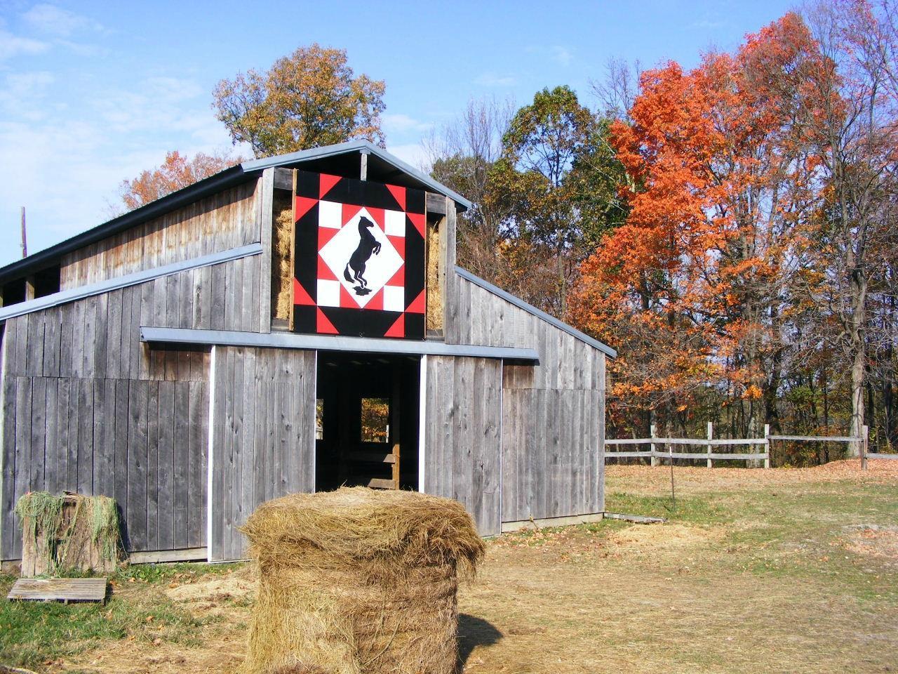 Uncle Buck's Riding Stable