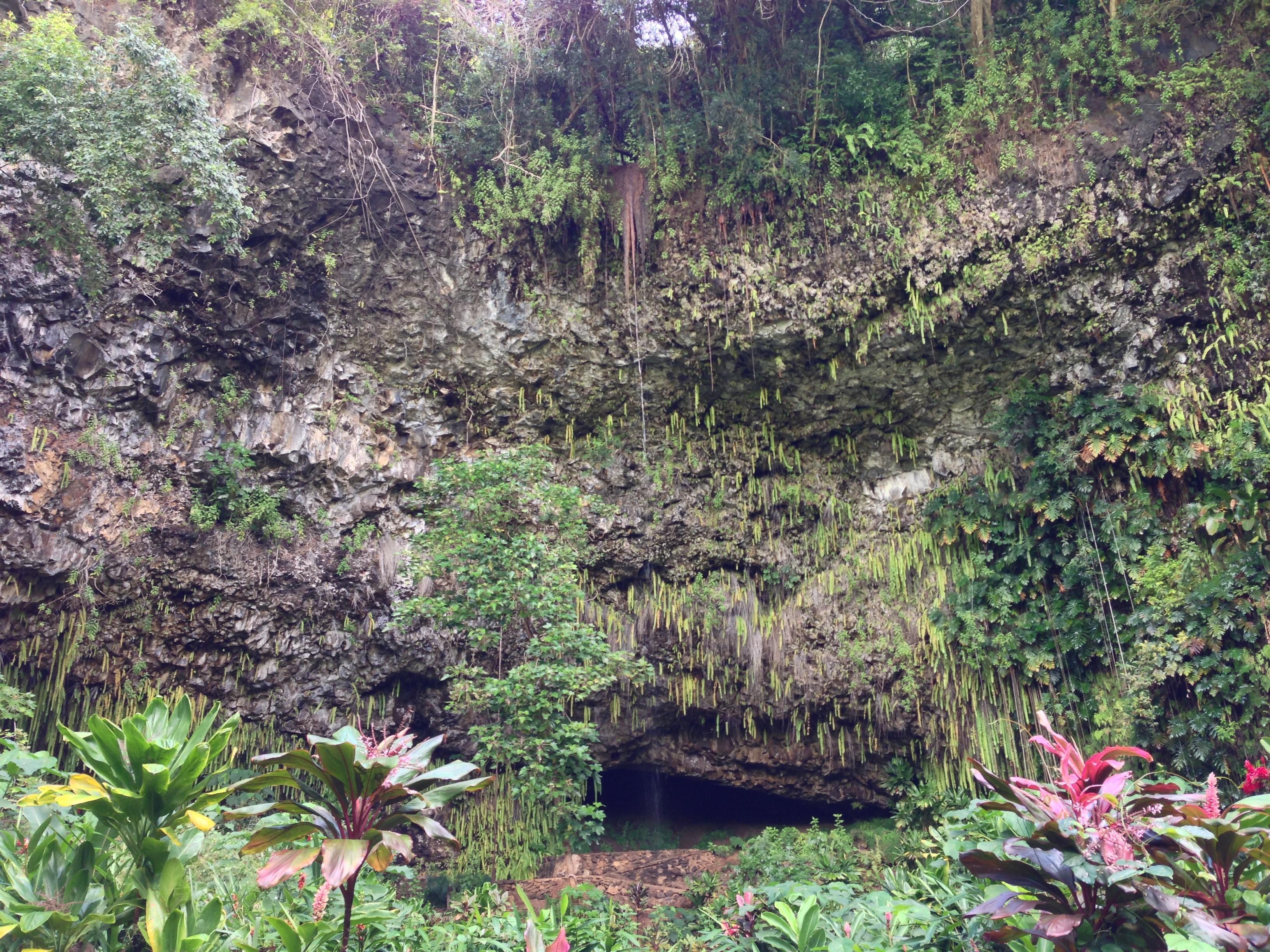 Smiths Fern Grotto Wailua River Cruis