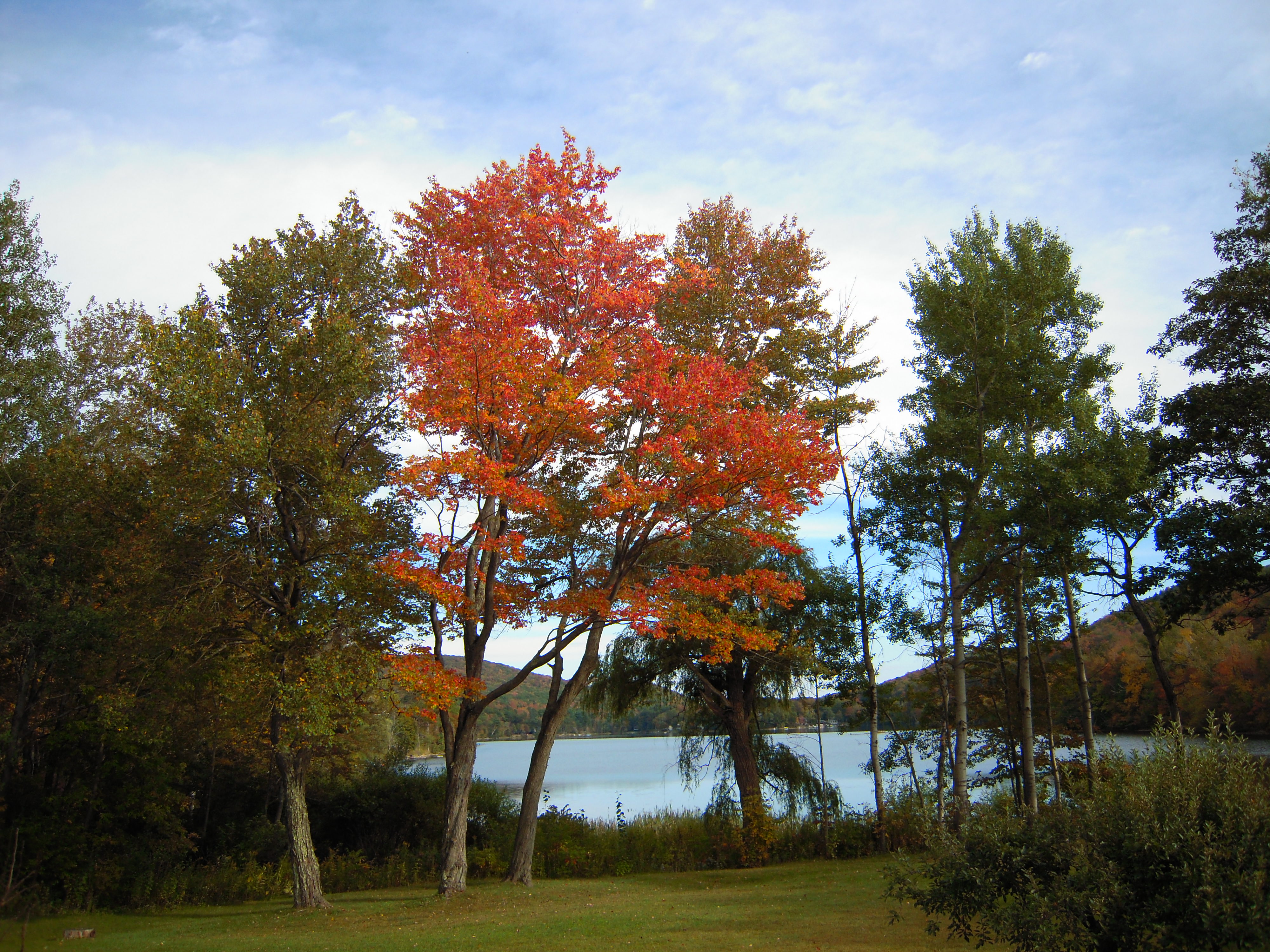 Berkshire Lakeside Lodge