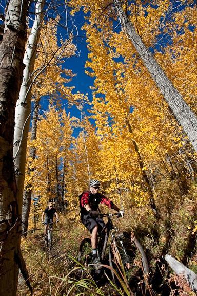 Whistler Bike Guide