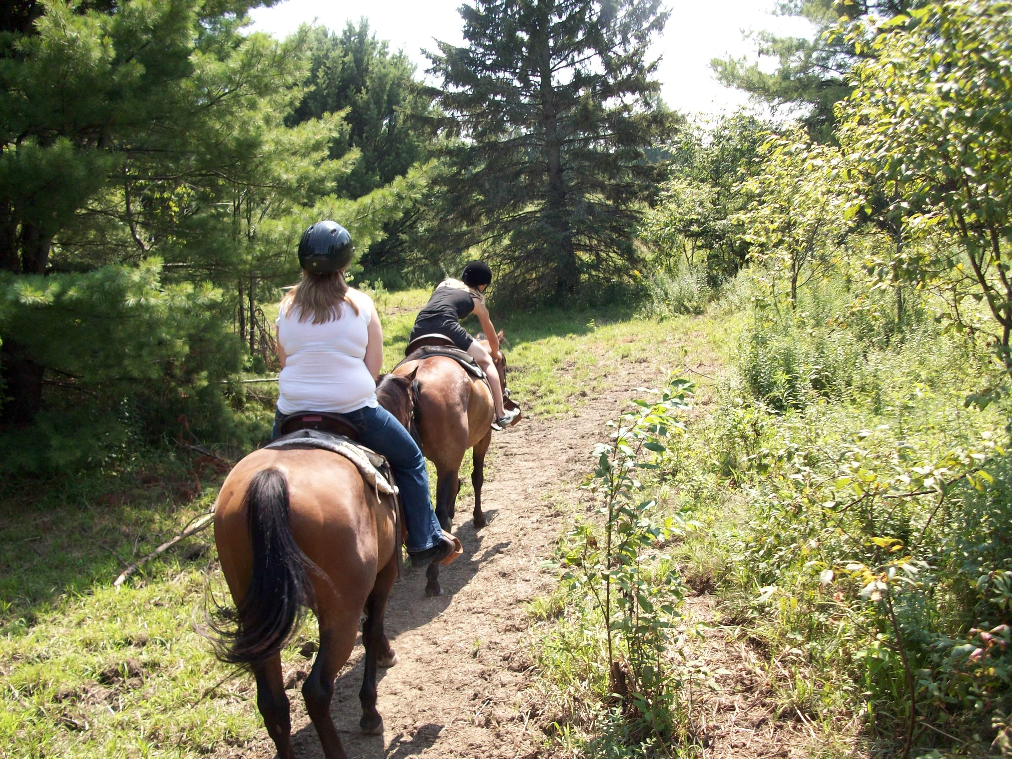 Maple Lane Farms