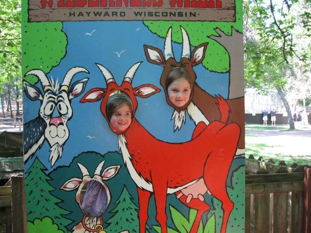 Wilderness Walk Zoo & Western Town Family Fun Park