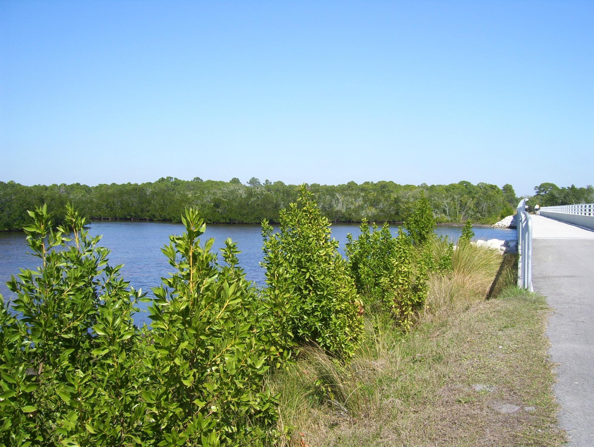 Cape Haze Pioneer Trail Park