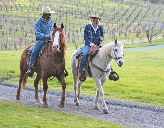 Triple Creek Horse Outfit