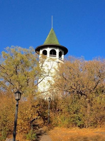 Witch's Hat Water Tower - Tower Hill Park