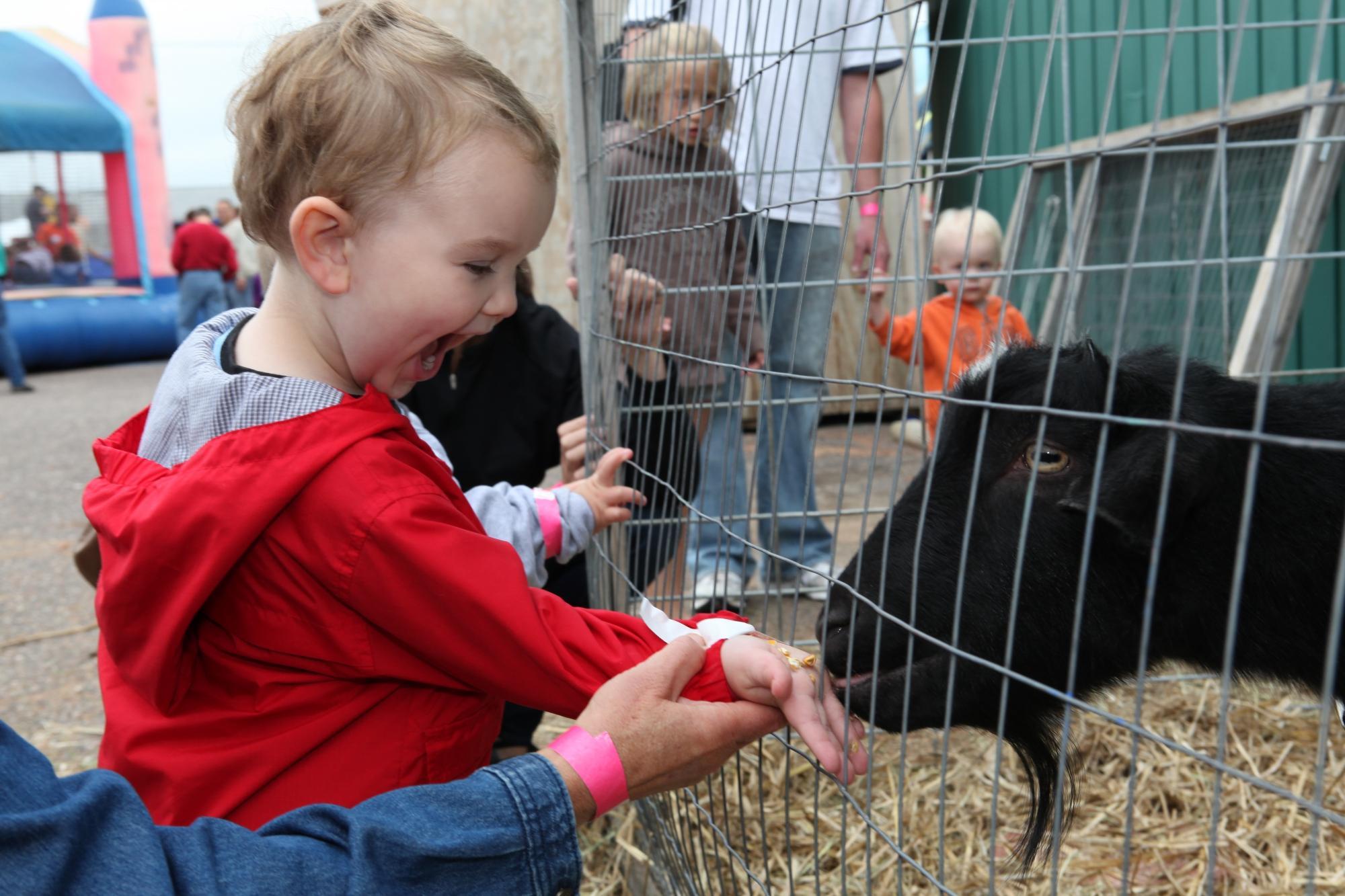 Northwoods Children's Museum