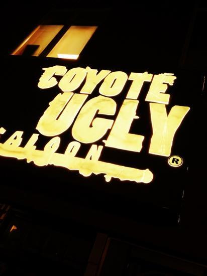 Coyote Ugly Saloon