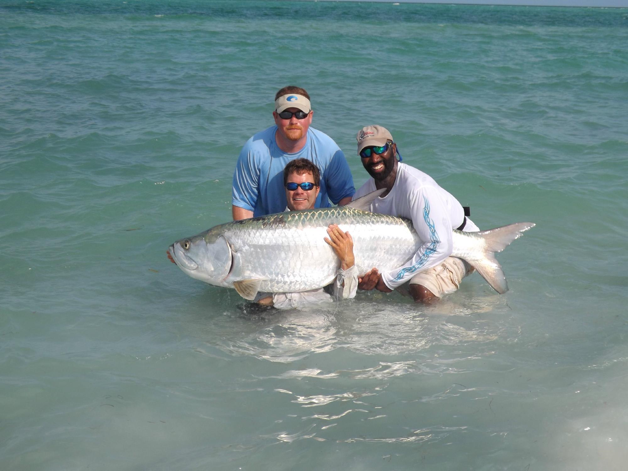 Tampa Bay Fishing with Captain Matt - Tours