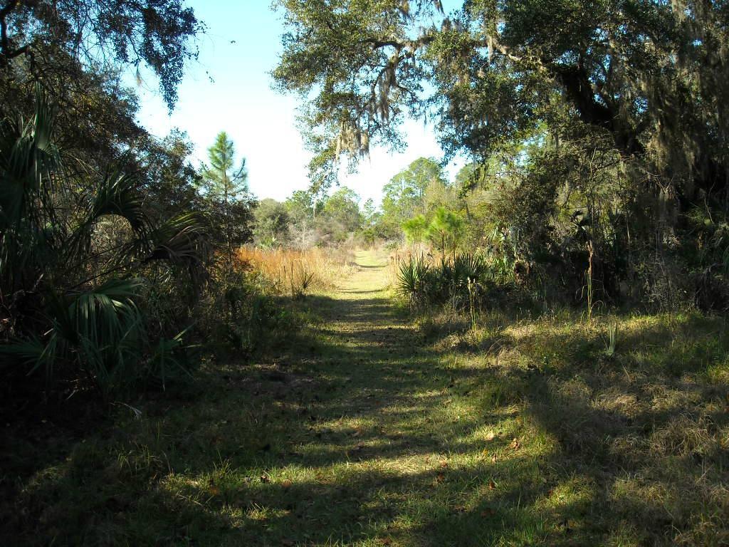 Crystal River Preserve State Park Eco-Walk