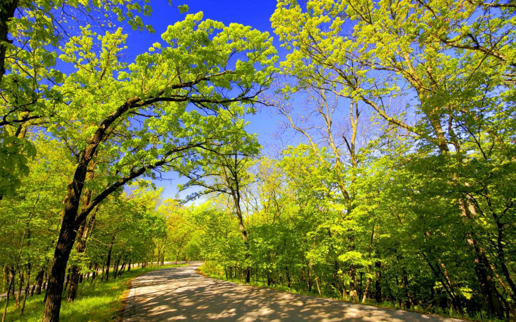 Springbrook State Park