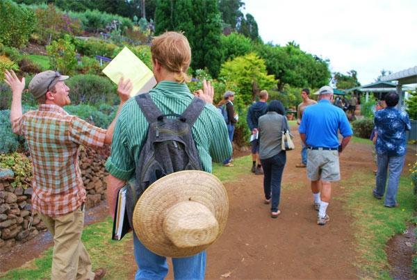 Taste of Maui Island Tours