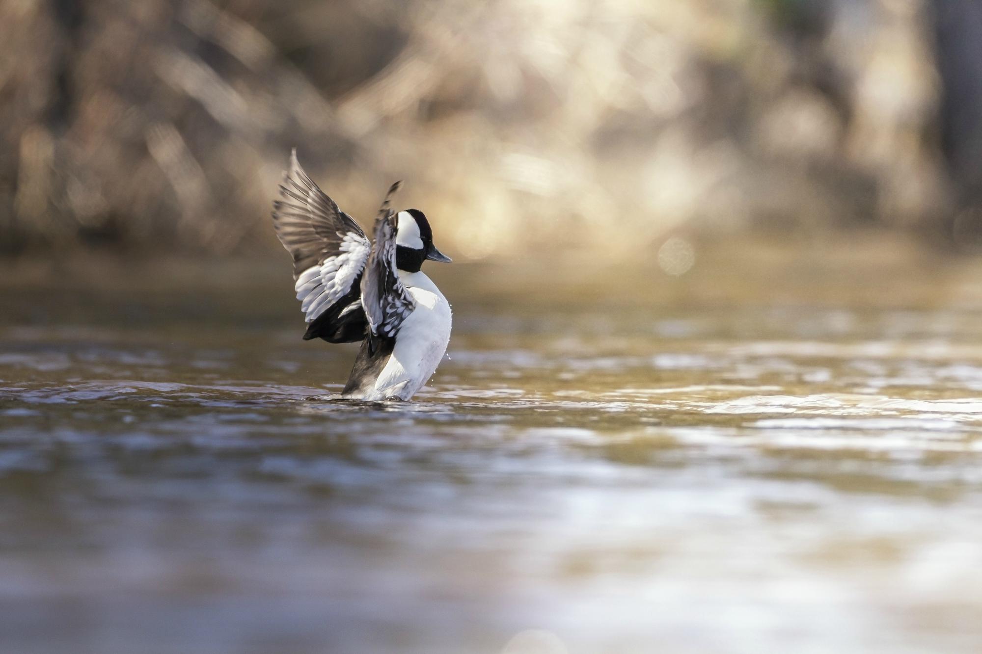 Seney National Wildlife Refuge