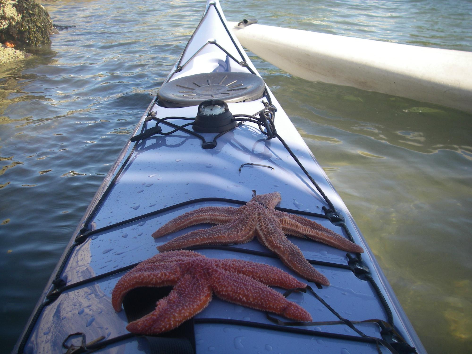 Maine Island Kayak Company