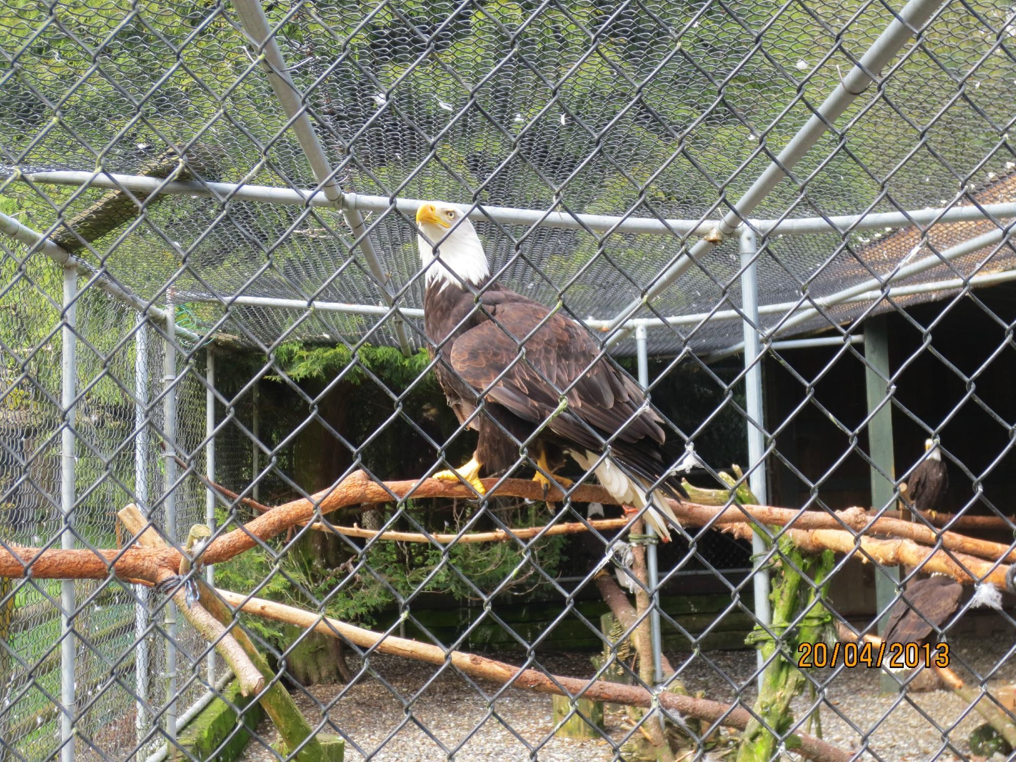 Sardis Wildlife Center