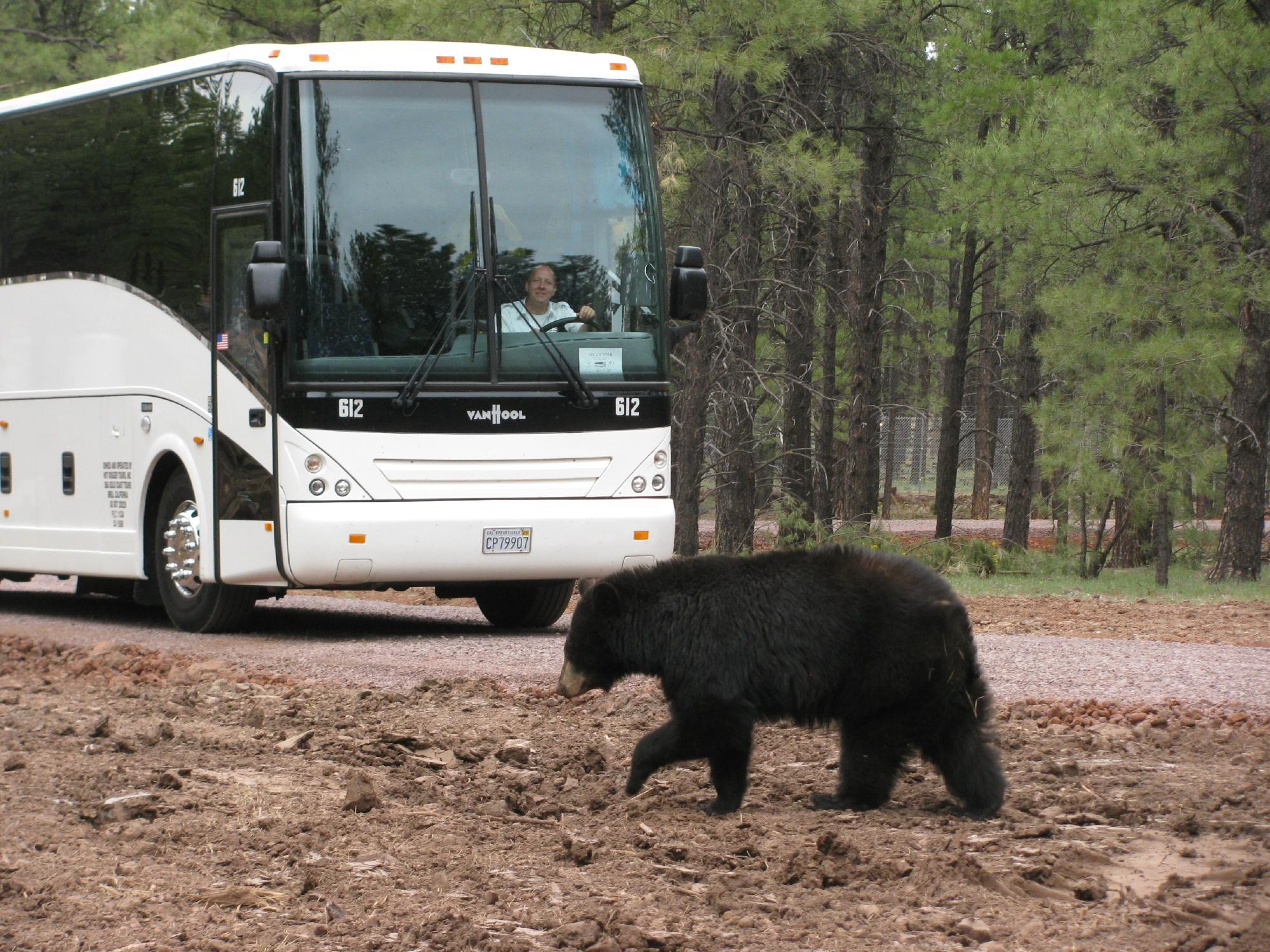 Arizona Grand Canyon Tours - Day Tour