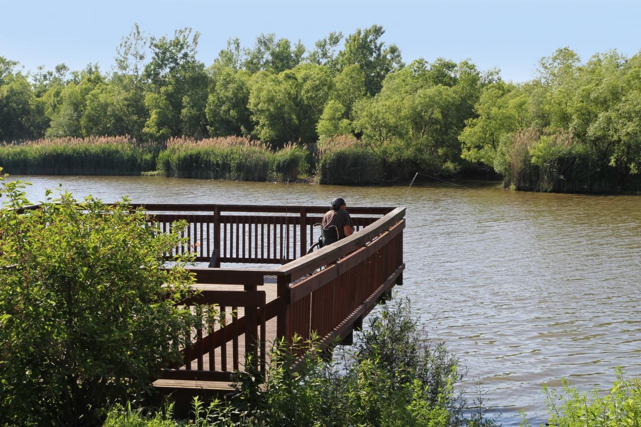 Port of Conneaut Bird Observation Platform Area