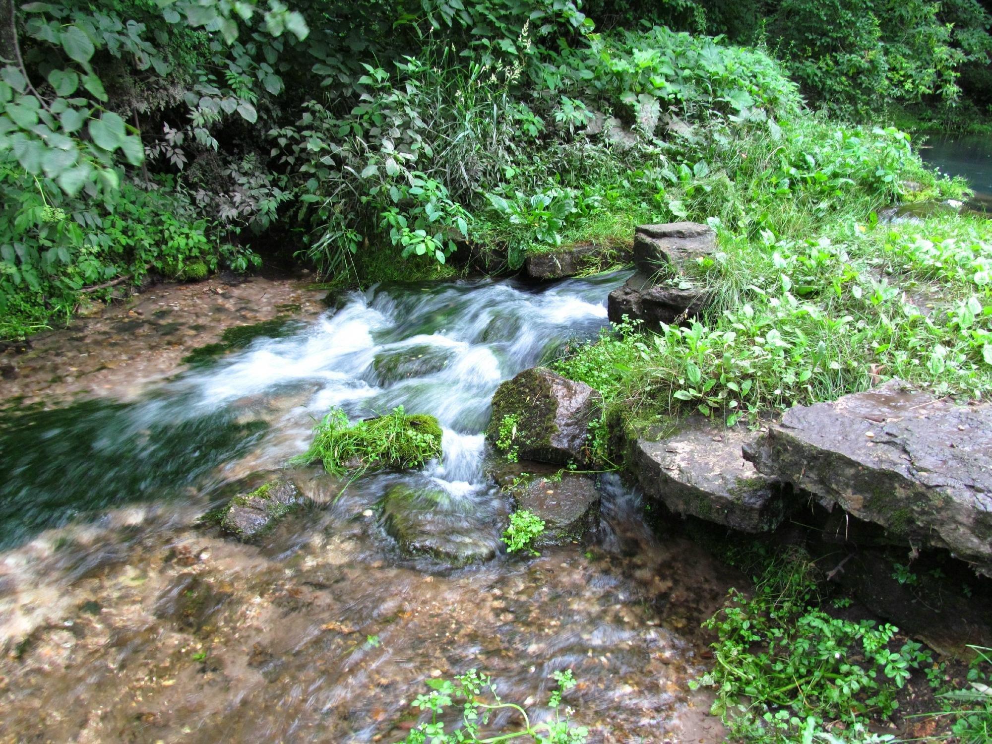 Backbone State Park