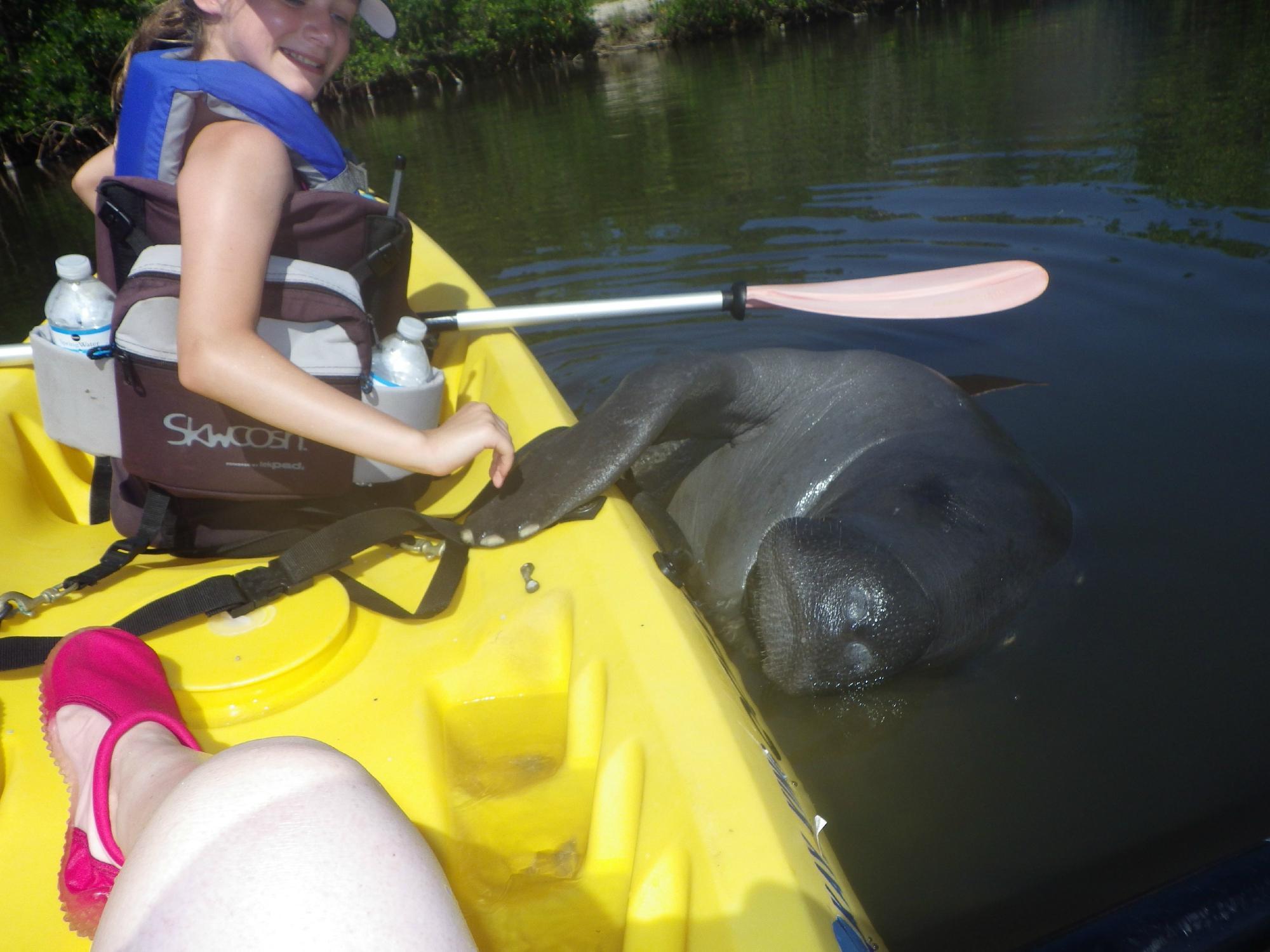 Calypso Kayaking