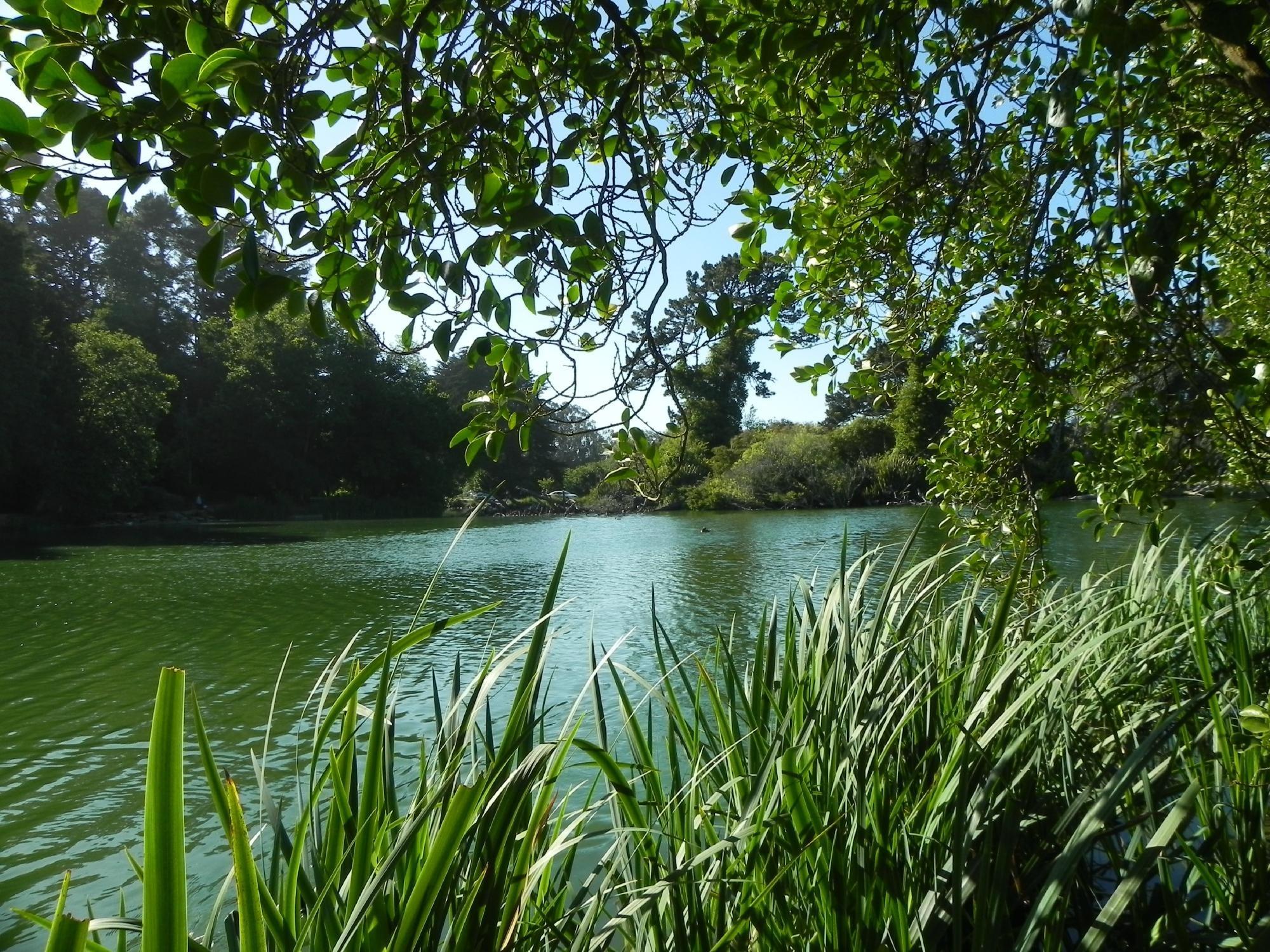 Panhandle - Golden Gate Park