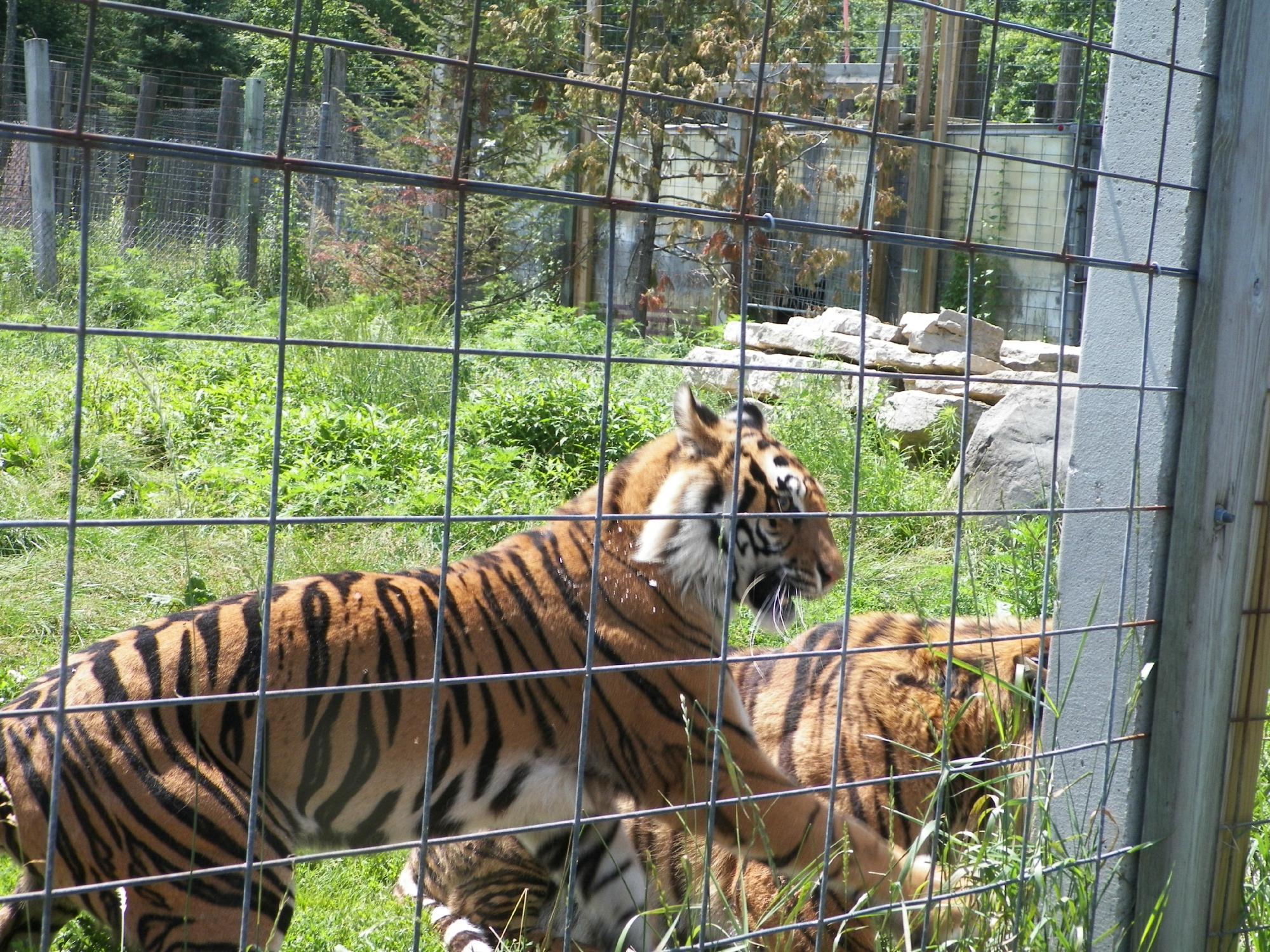 DeYoung Family Zoo