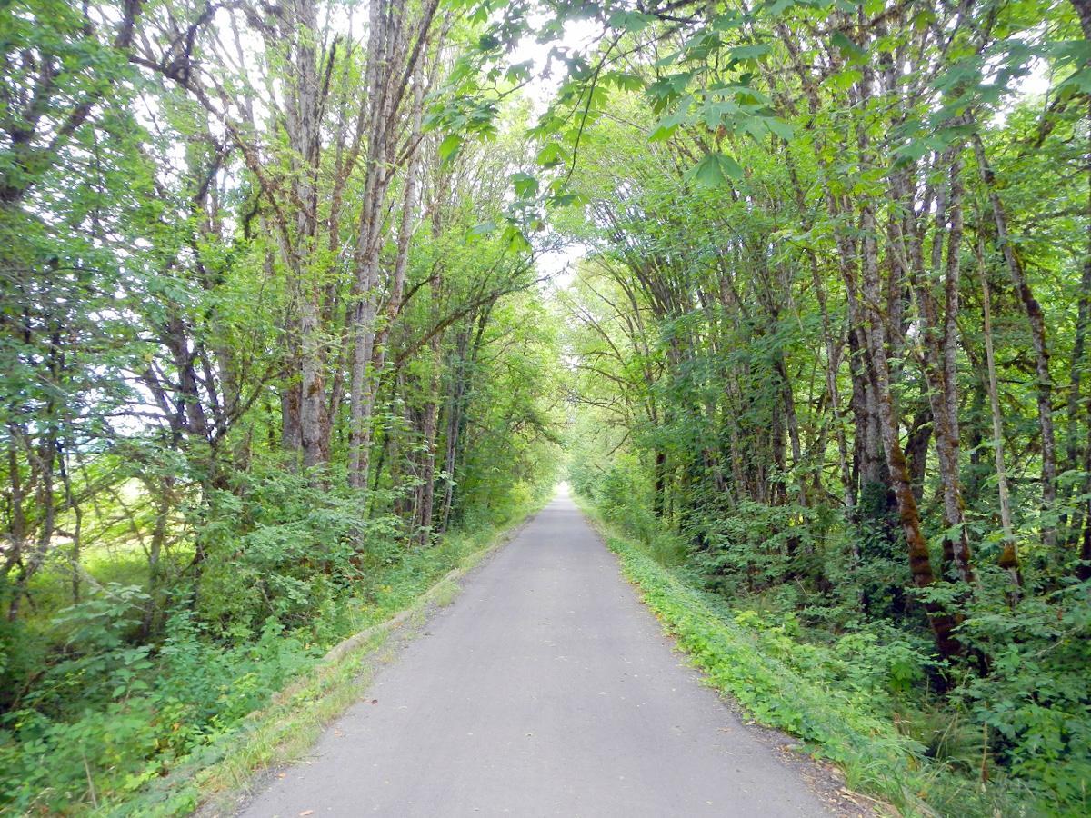 Row River Trail