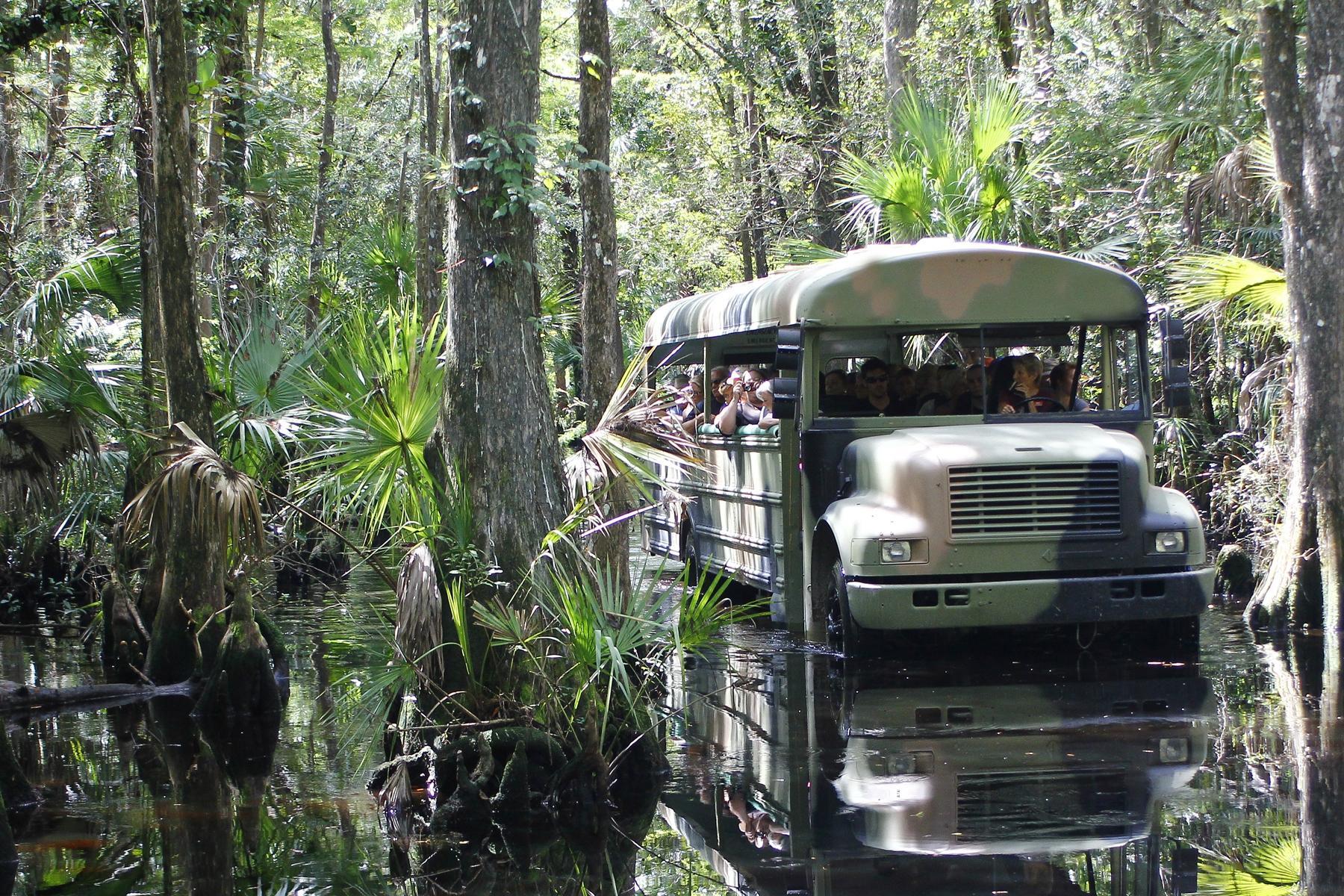 Babcock Ranch Eco Tours