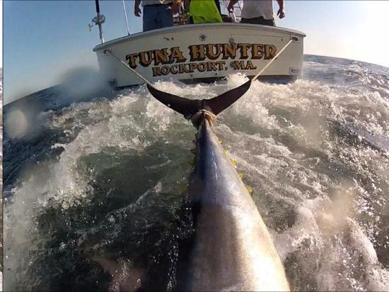 Tuna Hunter Fishing Charters