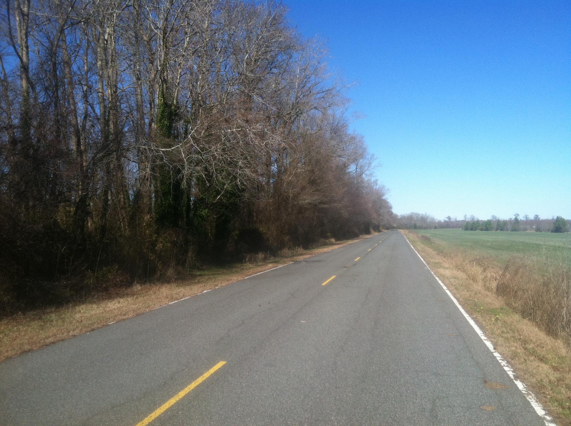 Dismal Swamp Canal Trail