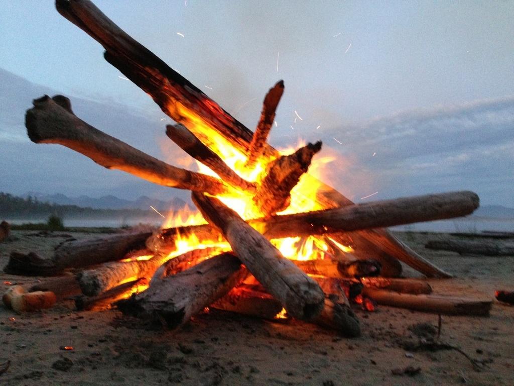 Clayoquot Wild